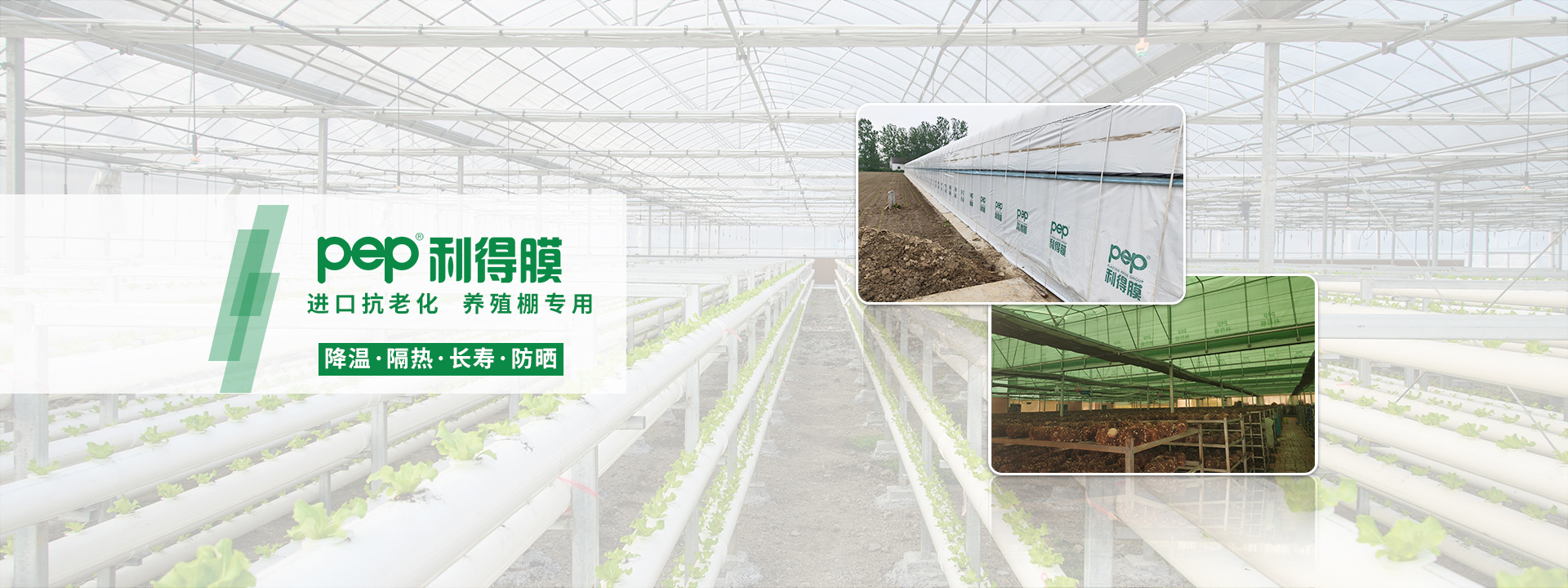 黑白膜、pep利得膜